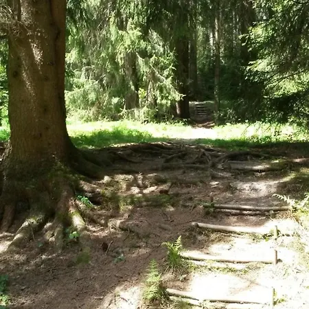  Fuer 6 Personen Im Thueringer Wald Grossbreitenbach