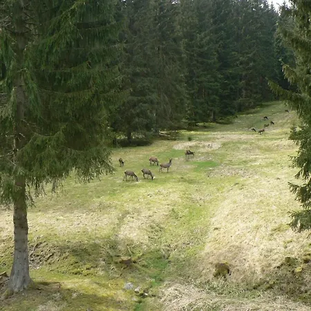 Fuer 6 Personen Im Thueringer Wald  Grossbreitenbach