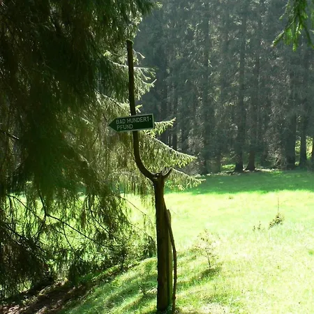  Fuer 6 Personen Im Thueringer Wald Grossbreitenbach
