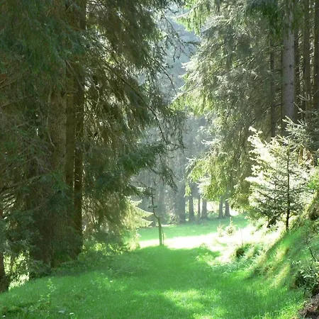 Fuer 6 Personen Im Thueringer Wald Grossbreitenbach
